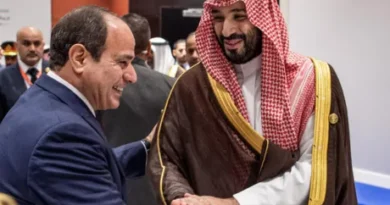 "خط أحمر".. بيان برلماني مصري دعما لدول الخليج
