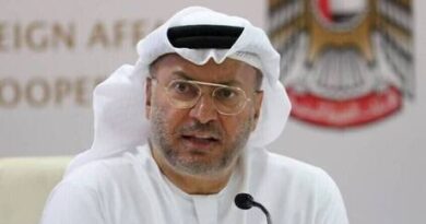 قرقاش: أي اتفاق مع إيران يجب أن يعالج المخاوف الأمنية لدول الخليج