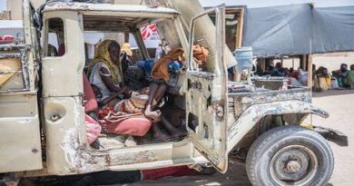 بيان إماراتي أمام مجلس الأمن يطالب بتعميم حظر السلاح على كامل السودان